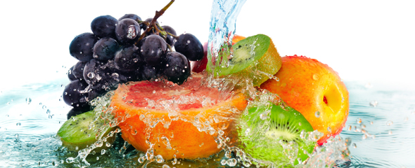 Обработка овощей и фруктов в озонированной омагниченной воде - ООО ЭкоМИРТ